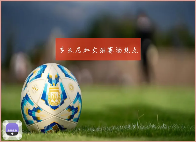 多米尼加女排赛场焦点